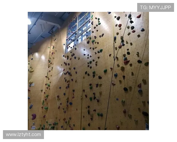 赛后分析：西安攀岩队与南京攀岩队的战术对决与启示